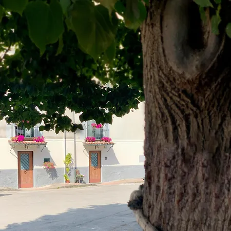 Volta Bed & Breakfast